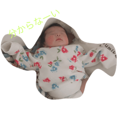 [LINEスタンプ] エマかもしれない