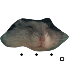 [LINEスタンプ] ハムスターかわいいね