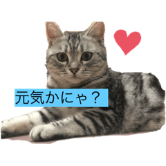 [LINEスタンプ] ぽんこ1