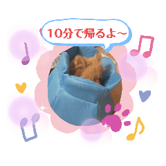[LINEスタンプ] ぽんきちさんの3