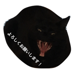 [LINEスタンプ] 自分をお母さんだと勘違いミケちゃんとクロ