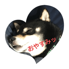 [LINEスタンプ] よさくfamily ①