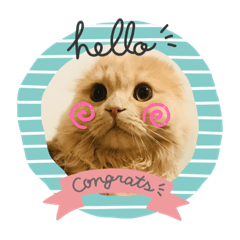 [LINEスタンプ] そらたんだよ❤️