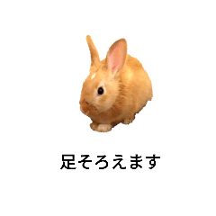[LINEスタンプ] ぽてと足そろえます