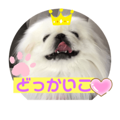 [LINEスタンプ] ペキニーズ ナッツ2