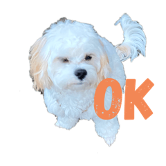 [LINEスタンプ] 岩崎ちくわ