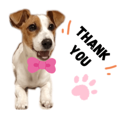 [LINEスタンプ] ラスクの日常❤︎