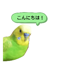 [LINEスタンプ] メロンの頷き