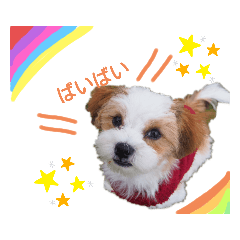 [LINEスタンプ] れおんだよ！
