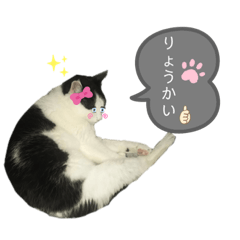 [LINEスタンプ] 白と黒の日常
