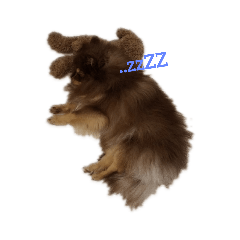[LINEスタンプ] ふぇいたん