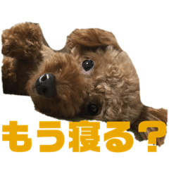 [LINEスタンプ] だいずスタンプ！