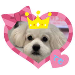 [LINEスタンプ] おてむりん