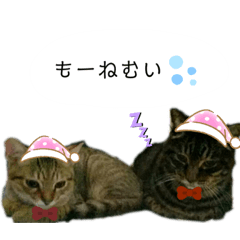[LINEスタンプ] 猫の夢