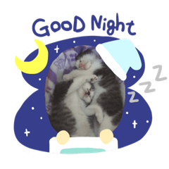 [LINEスタンプ] るいととロイ
