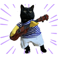 [LINEスタンプ] 黒猫(まる)