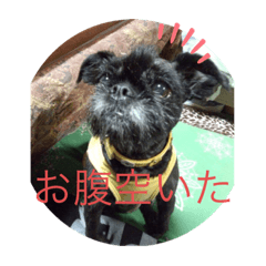 [LINEスタンプ] とのくんとむさしくん2