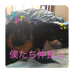 [LINEスタンプ] とのくんとむさしくん