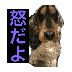 [LINEスタンプ] ネロFirst