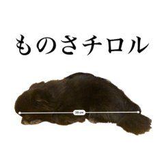 [LINEスタンプ] チロルの気持ち 3