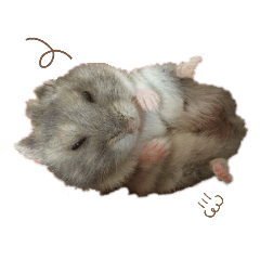 [LINEスタンプ] 眞栄田 権須毛②