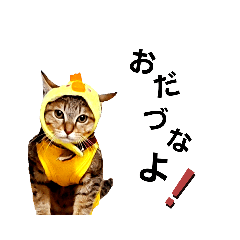 [LINEスタンプ] 猫＆ハムスター宮城県方言スタンプ