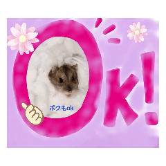 [LINEスタンプ] Yujuスタ