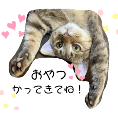 [LINEスタンプ] つくし ver.1