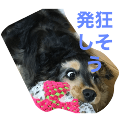 [LINEスタンプ] ネロSecond