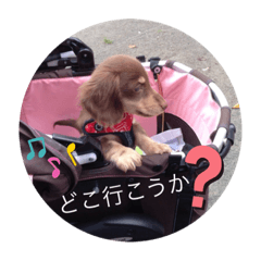 [LINEスタンプ] みるかのダックスフンド