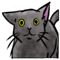 [LINEスタンプ] 使えそうな、そーでもないような黒猫