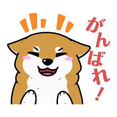 [LINEスタンプ] もちもちゆるっと柴犬スタンプ！