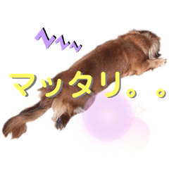 [LINEスタンプ] Tomoe-san 1