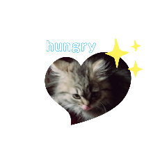 [LINEスタンプ] Jesseスタンプ