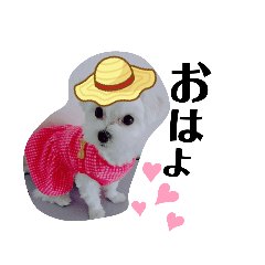 [LINEスタンプ] くみんちゃんパートⅡ