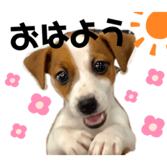 [LINEスタンプ] ラスクの日常❤︎2