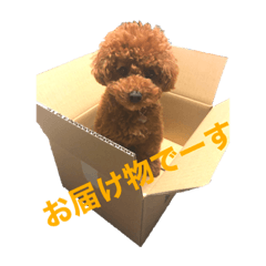 [LINEスタンプ] フワッフワのモグちゃん