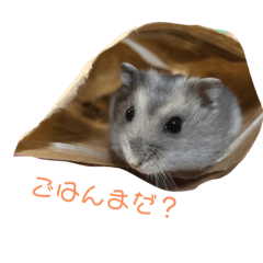 [LINEスタンプ] ジャンガリアンハムスターのつくも♂