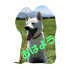 [LINEスタンプ] 元気すぎたひなちゃんスタンプ