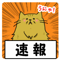 [LINEスタンプ] ねこのはこ ふぉーえばー