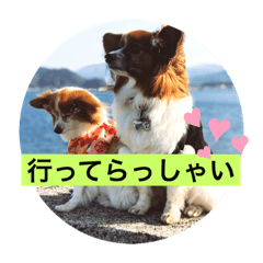 [LINEスタンプ] ちびそらスタンプ2