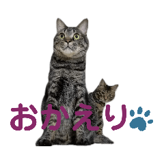 [LINEスタンプ] とらせなブラザーズその③