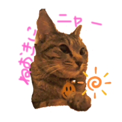 [LINEスタンプ] つぶ子スタンプ