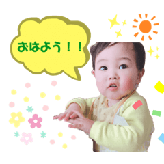 [LINEスタンプ] はる君の日常スタンプ
