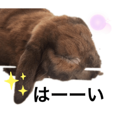 [LINEスタンプ] みみくんのスタンプ 2