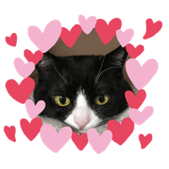 [LINEスタンプ] じぇりー様