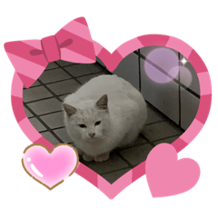 [LINEスタンプ] なかよし^_^