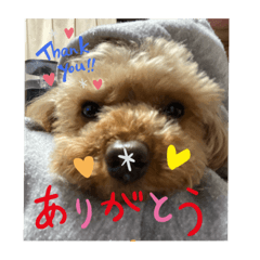 [LINEスタンプ] ピオン君