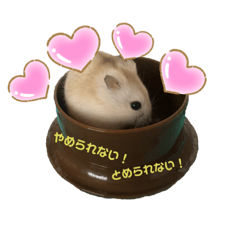 [LINEスタンプ] はむはむ♡こむぎ