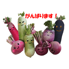 [LINEスタンプ] 日常あいさつの野菜スタンプ